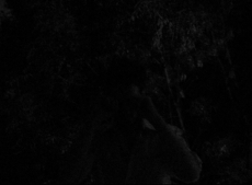 Arno Roncada - There's A Light That Never Goes Out